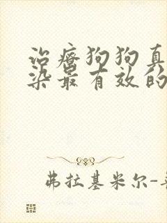 治疗狗狗真菌感染最有效的药