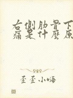 右侧肋骨下侧疼痛是什么原因封面