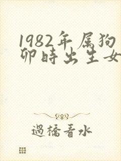 1982年属狗卯时出生女人命运