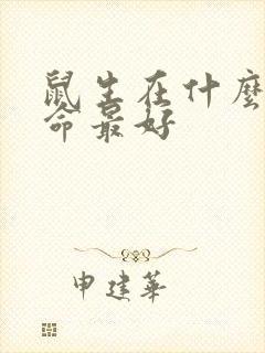 鼠生在什么时辰命最好