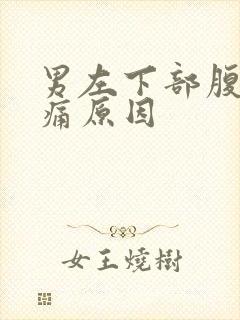 男左下部腹部疼痛原因