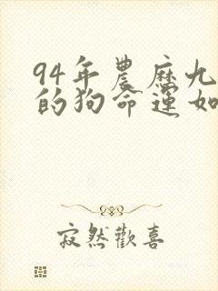 94年农历九月的狗命运如何