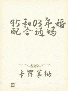 95和03年婚配合适吗封面