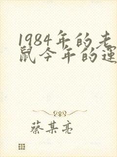 1984年的老鼠今年的运气怎么样