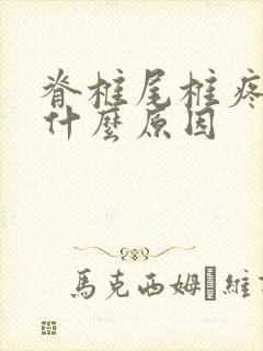 脊椎尾椎疼痛是什么原因