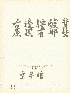 右边腰酸背痛的原因有哪些症状女性封面