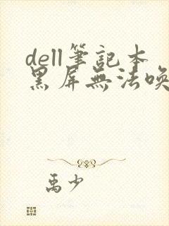 dell笔记本黑屏无法唤醒