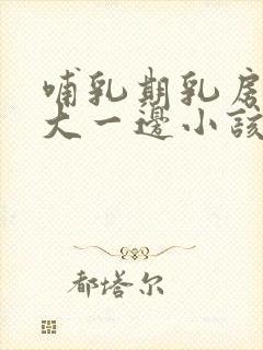 哺乳期乳房一边大一边小该怎么办封面