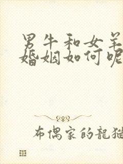 男牛和女羊相配婚姻如何呢