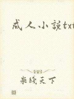 成人小说txt