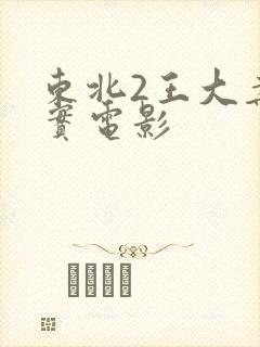 东北2王大案纪实电影