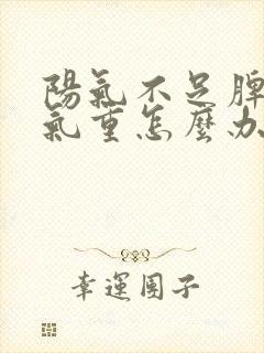 阳气不足脾虚湿气重怎么办