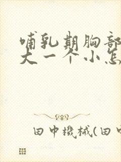 哺乳期胸部一个大一个小怎么办啊封面