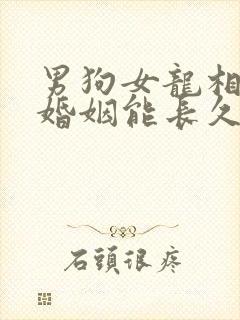 男狗女龙相配吗婚姻能长久吗