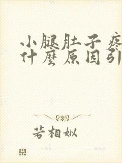 小腿肚子疼胀是什么原因引起的