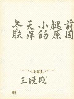 冬天小腿前面皮肤痒的原因