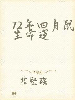 72年四月鼠一生命运