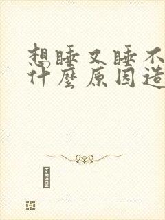 想睡又睡不着是什么原因造成的