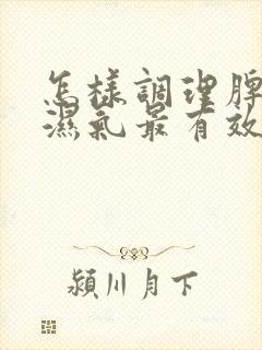 怎样调理脾胃去湿气最有效封面