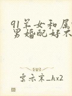 91羊女和属蛇男婚配好不好