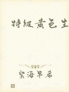 特级黄色生活片