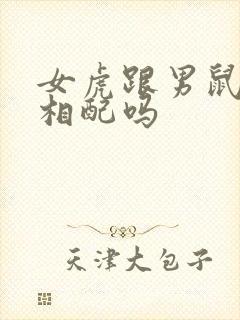 女虎跟男鼠婚姻相配吗封面