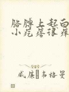 胳膊上起白色的小疙瘩很痒