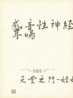 感音性神经性聋耳鸣