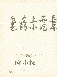 包皮上面长了白色的小疙瘩封面