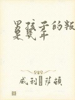 男孩子的叛逆期是几年封面