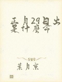 正月29日出生是什么命