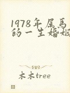 1978年属马的一生婚姻状况