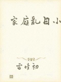 家庭乱日小说