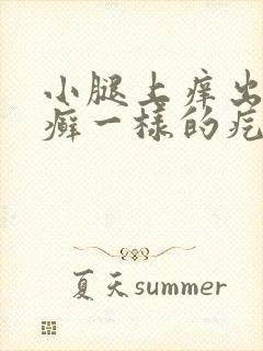 小腿上痒出的像癣一样的疙瘩