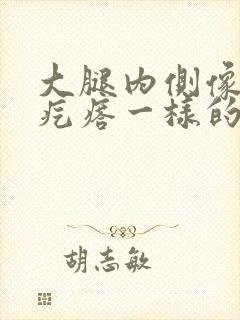 大腿内侧像鸡皮疙瘩一样的点点是啥封面