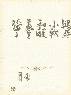 膝盖和小腿受凉了会酸软疼痛封面