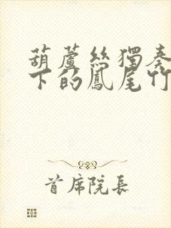 葫芦丝独奏月光下的凤尾竹降b调