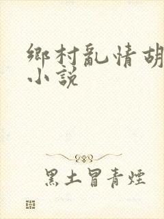 乡村乱情胡秀英小说封面