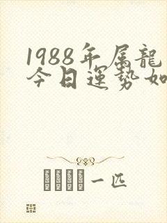 1988年属龙今日运势如何
