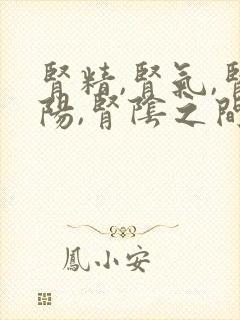 肾精,肾气,肾阳,肾阴之间的关系