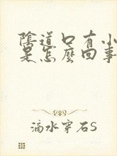 阴道口有小肉粒是怎么回事