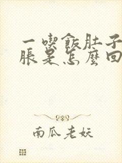 一吃饭肚子就很胀是怎么回事封面