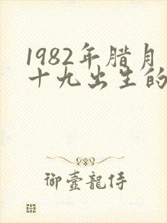 1982年腊月十九出生的女孩命运如何