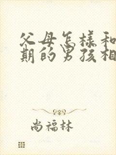 父母怎样和叛逆期的男孩相处