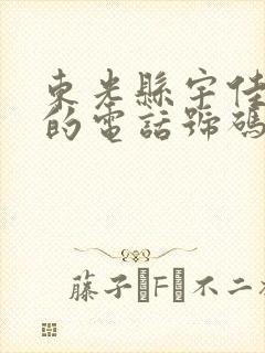 东光县宇佳物流的电话号码