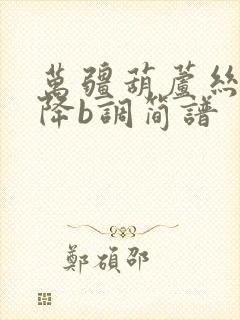 万疆葫芦丝简谱降b调简谱封面