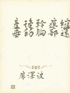 产后干瘪缩水下垂的胸部还有救吗封面