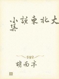 小说东北大炕全集