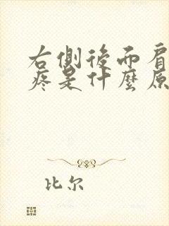 右侧后面肩胛骨疼是什么原因呢