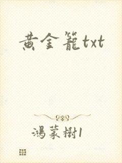 黄金笼txt